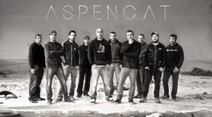 aspencat
