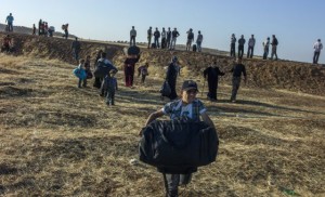 Acnur Siria