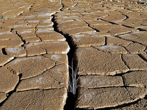 Cambio Climático de la ONU