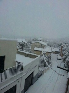 tarbena neu